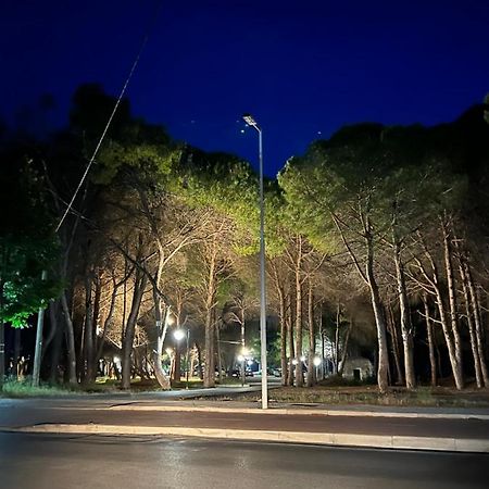 Rooms For Rent Habipi Vlorë 外观 照片
