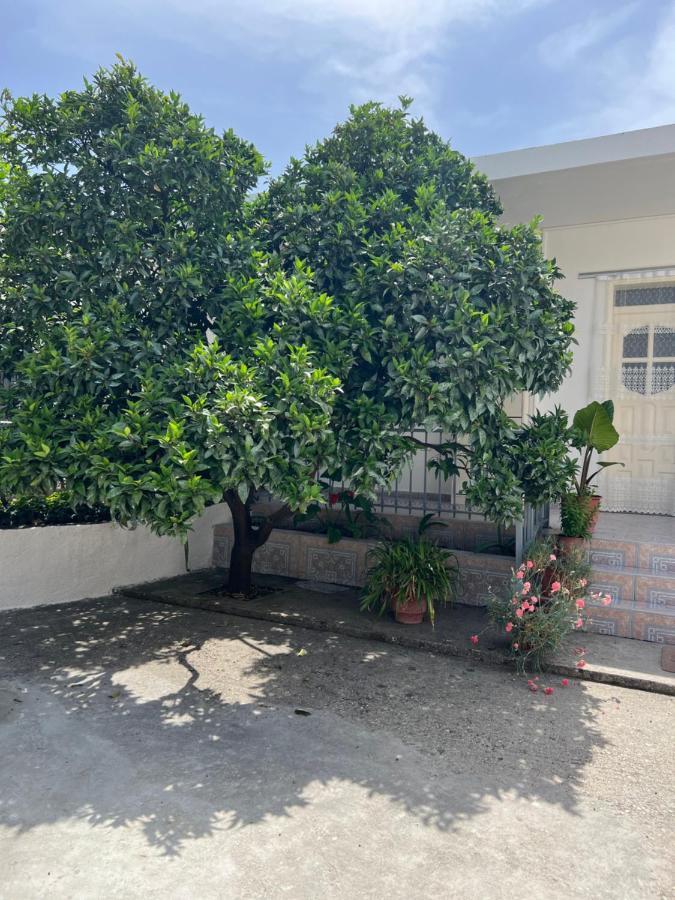 Rooms For Rent Habipi Vlorë 外观 照片