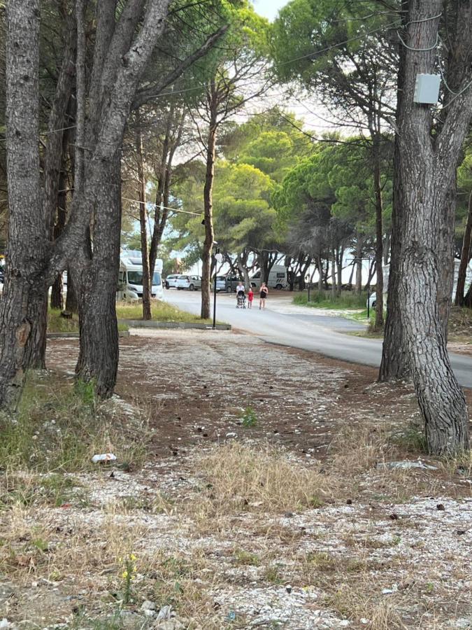 Rooms For Rent Habipi Vlorë 外观 照片